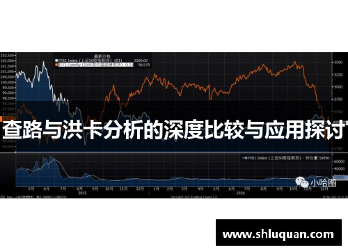 查路与洪卡分析的深度比较与应用探讨
