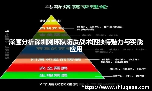 深度分析深圳网球队防反战术的独特魅力与实战应用